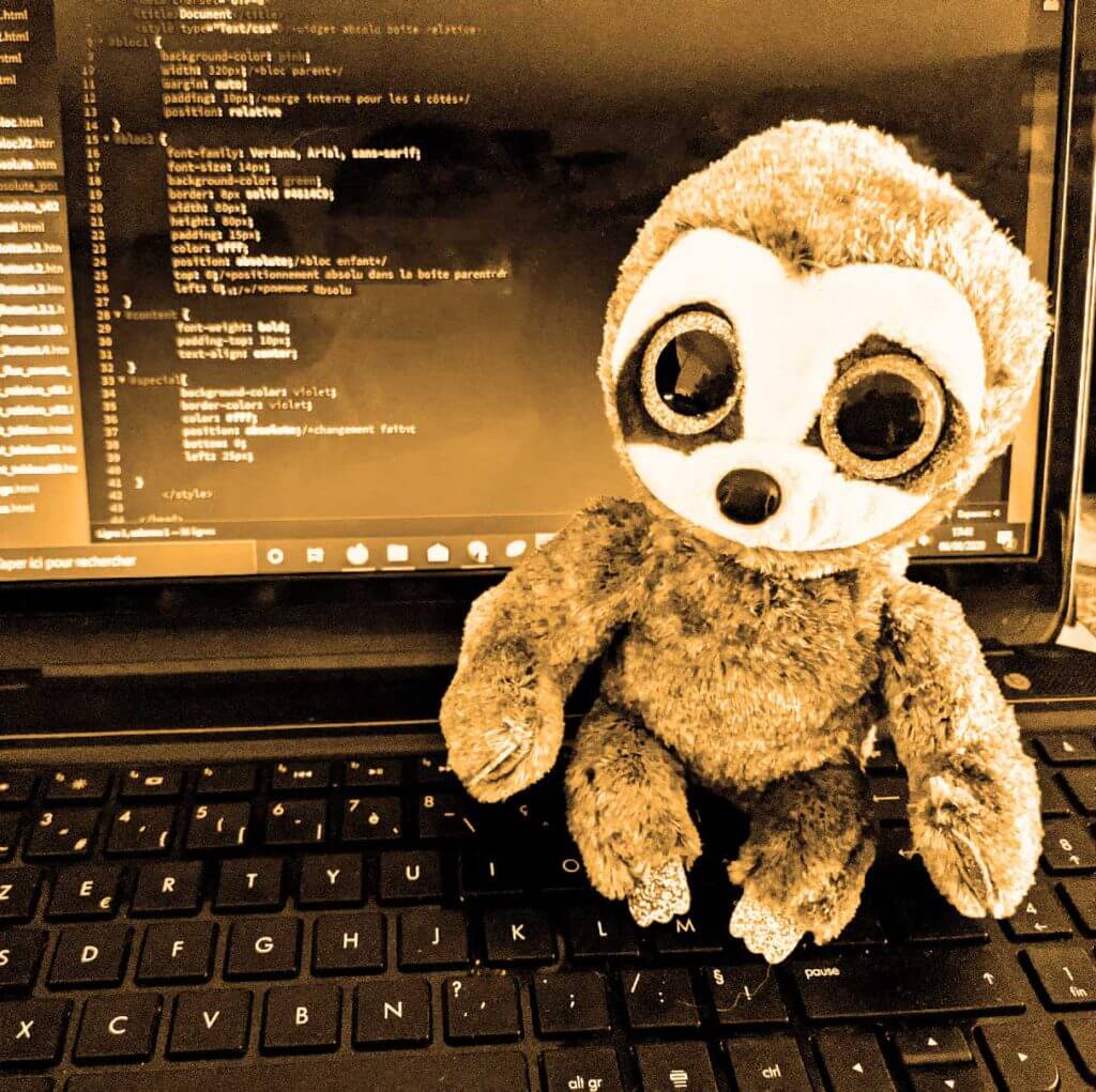 Paresseux en peluche